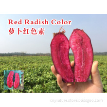 Red radish c...